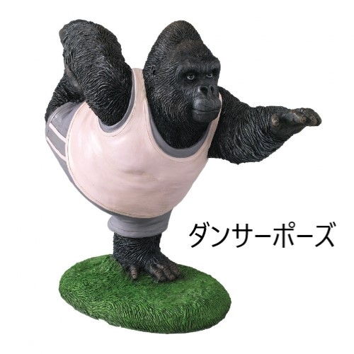 ヨガゴリラ