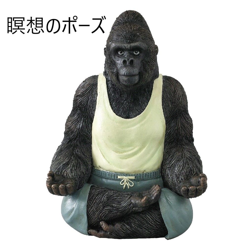 ヨガゴリラ