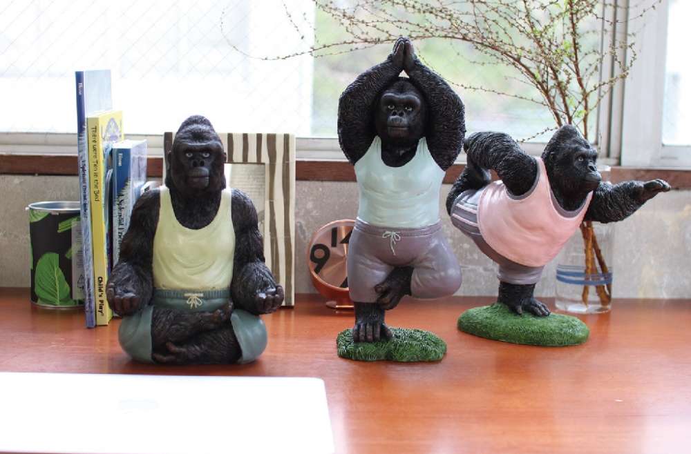 松山のヨガスタジオyoginiaにヨガゴリラがやってきた
