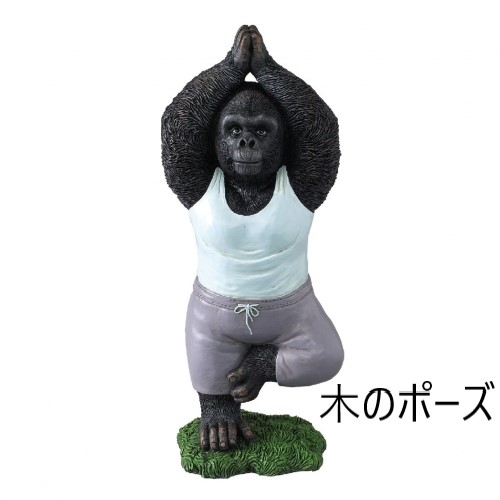 ヨガゴリラ
