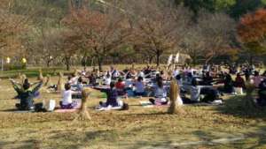 YOGA FESTA EHIME