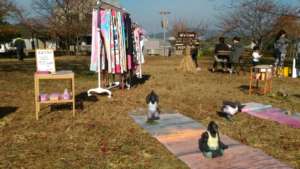 YOGA FESTA EHIME